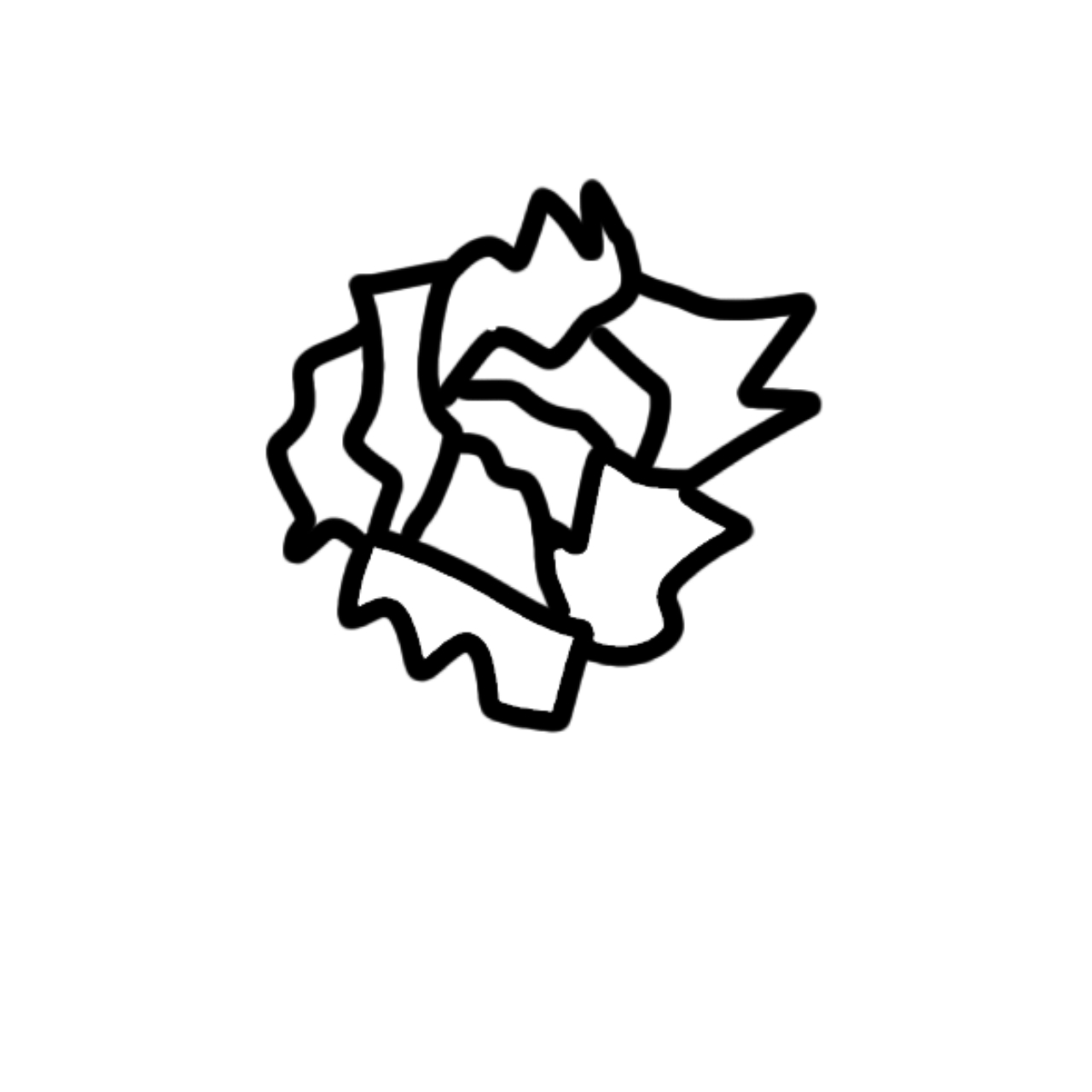 Extra Image 1